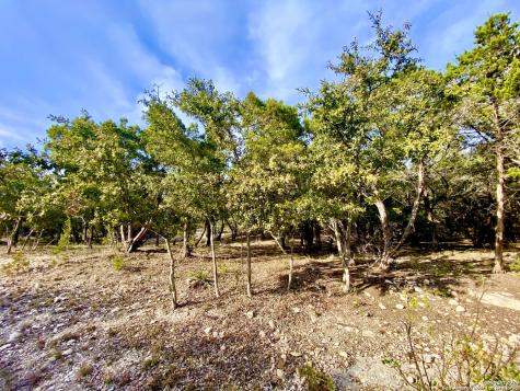 Lot 149 Private Road 1738 Mico TX 78056