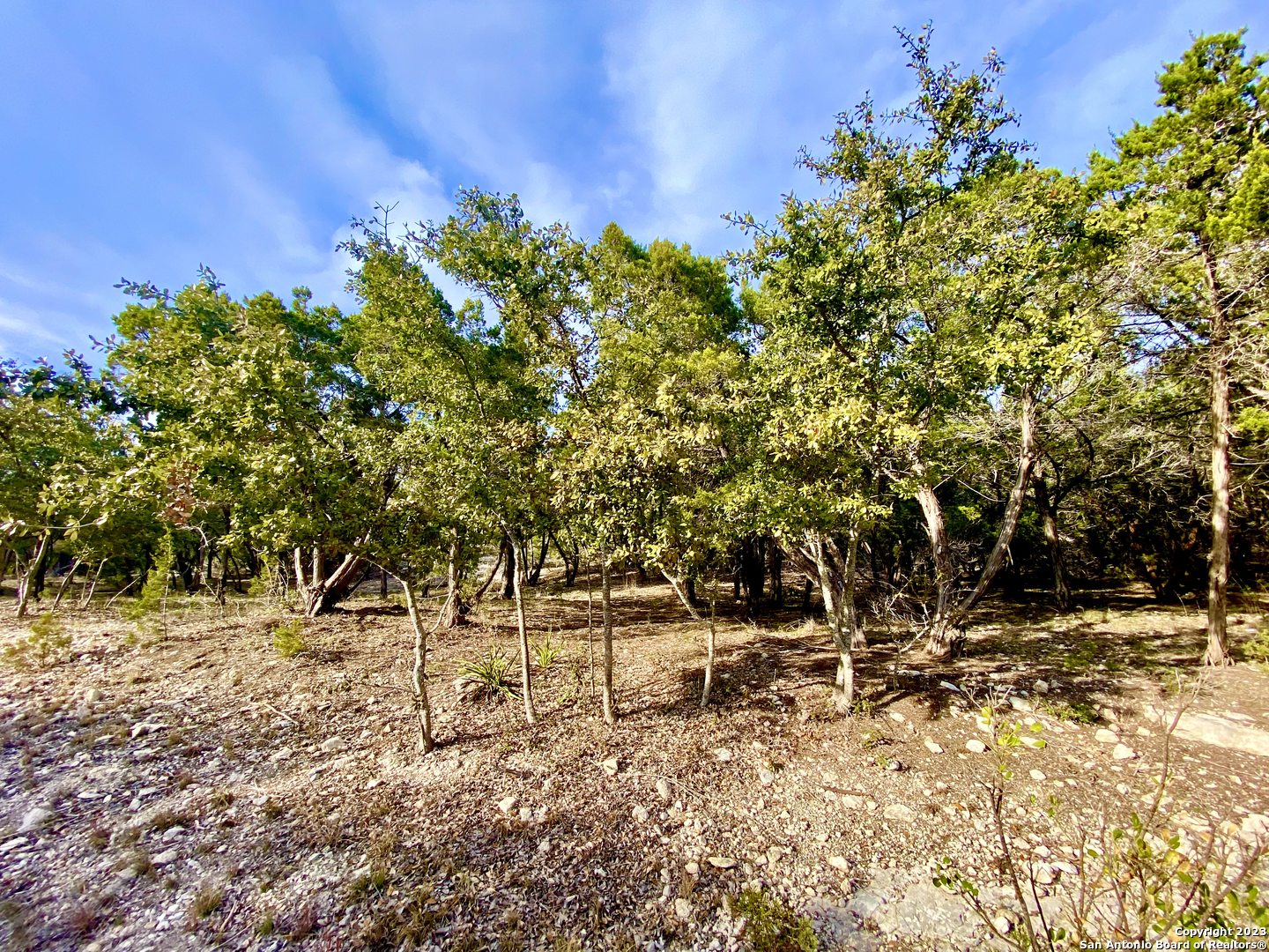 Lot 149 Private Road 1738 Mico TX 78056