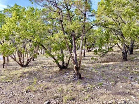 Lot 149 Private Road 1738 Mico TX 78056