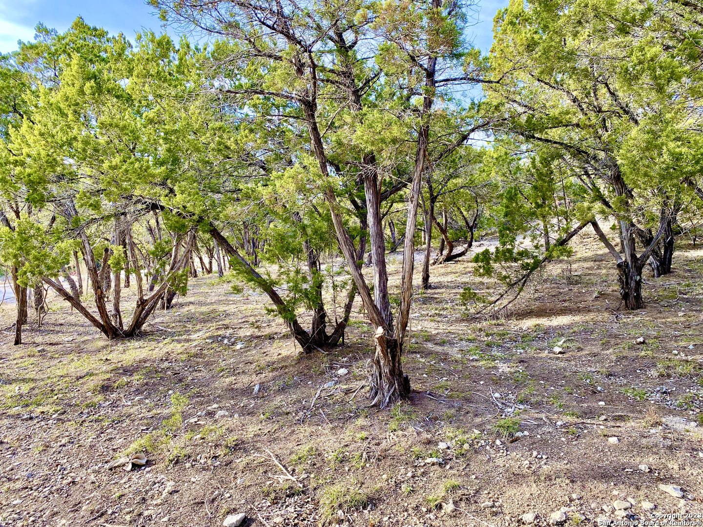 Lot 149 Private Road 1738 Mico TX 78056