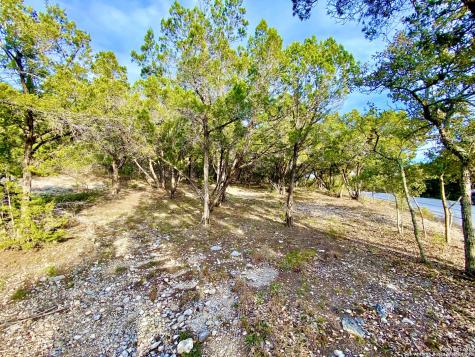 Lot 149 Private Road 1738 Mico TX 78056