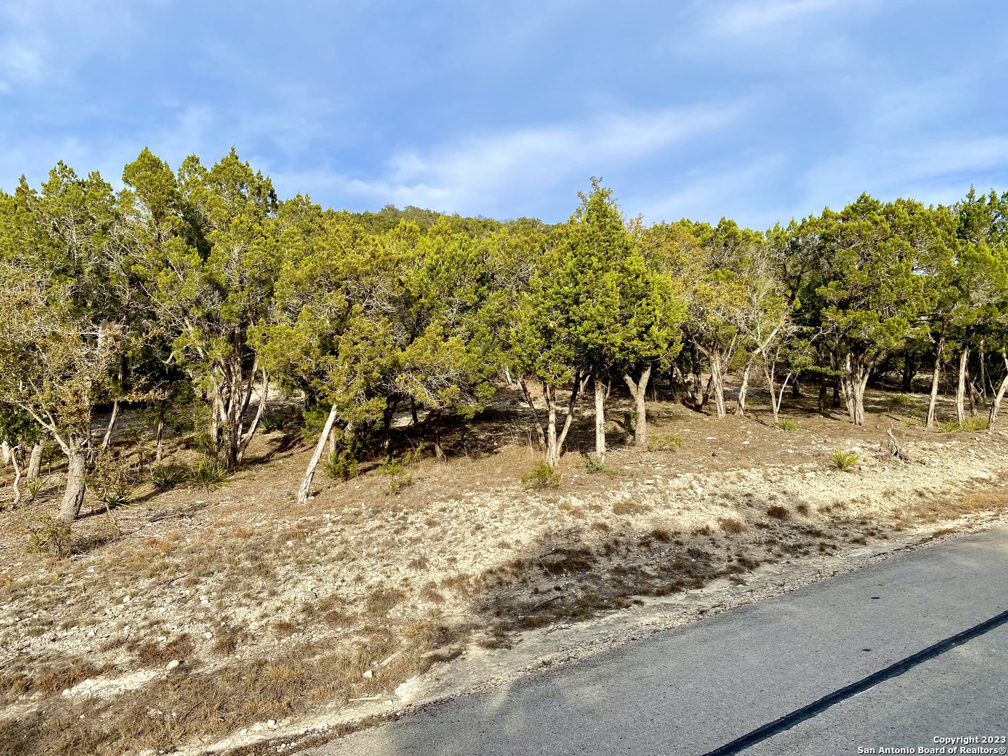 Lot 149 Private Road 1738 Mico TX 78056