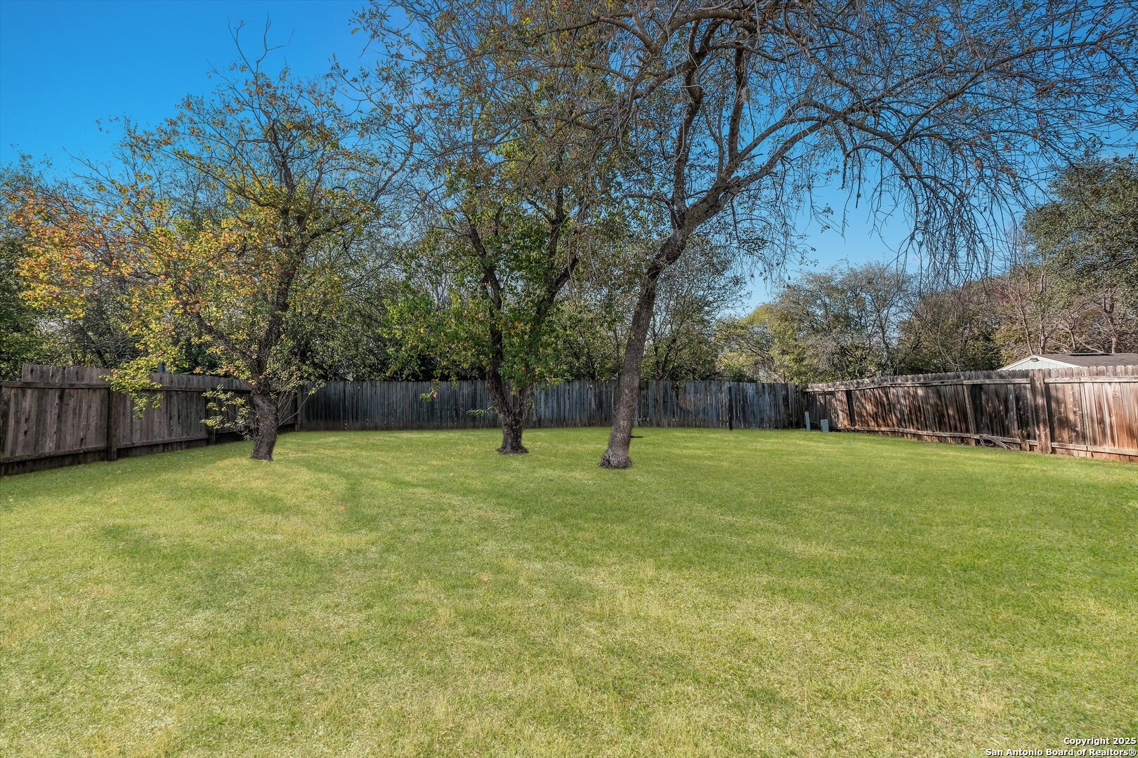 7279 Pine Branch San Antonio TX 78250