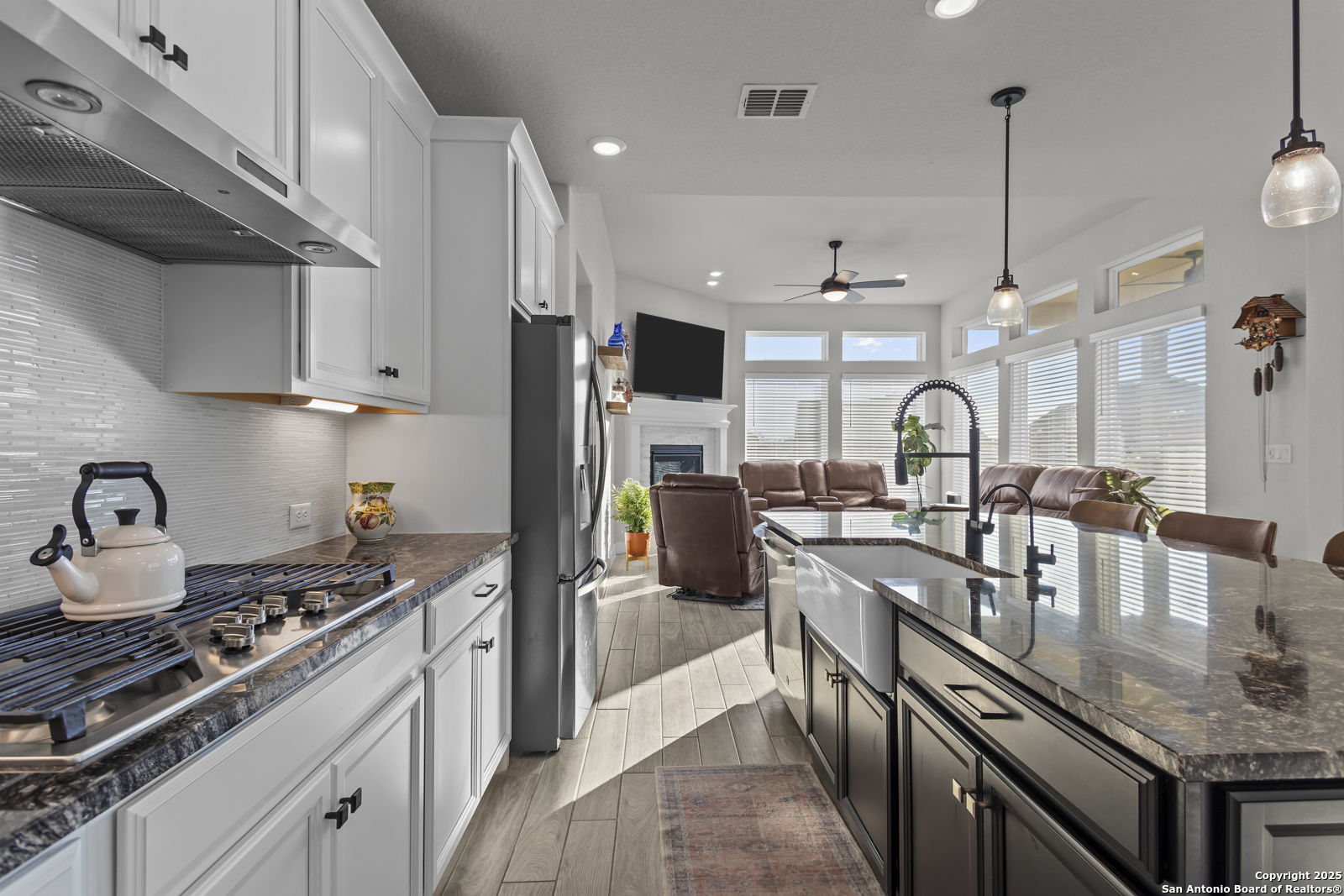 22924 Grande Vista San Antonio TX 78261