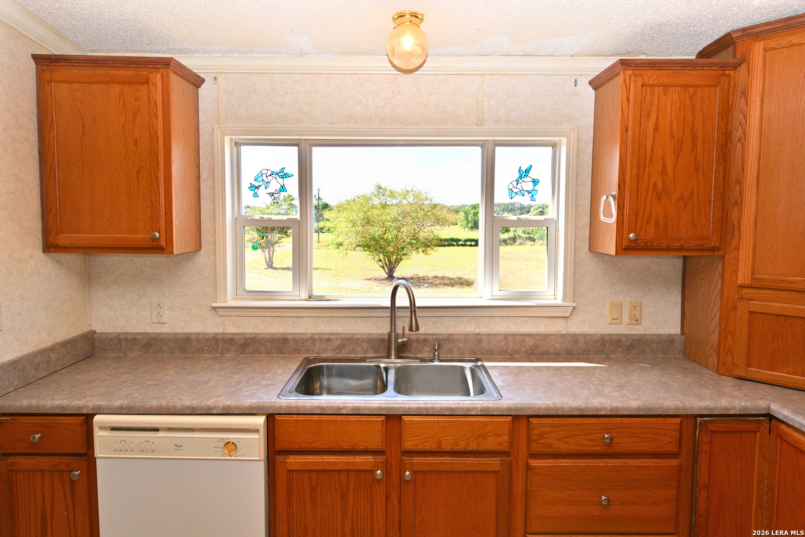 8073 County Road 401 Floresville TX 78114