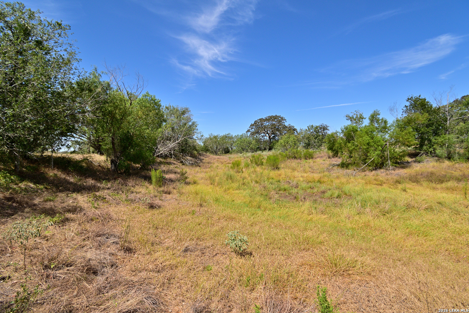 8073 County Road 401 Floresville TX 78114