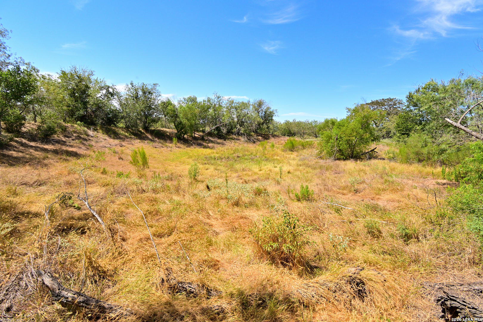 8073 County Road 401 Floresville TX 78114