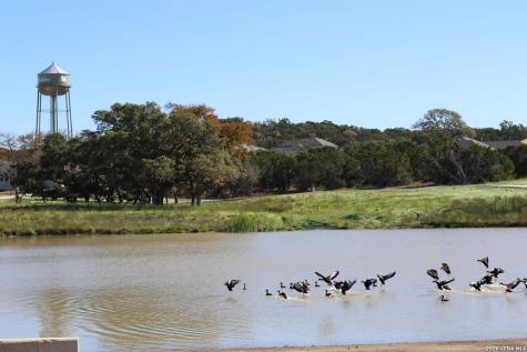 325 Dulce Vista Boerne TX 78006