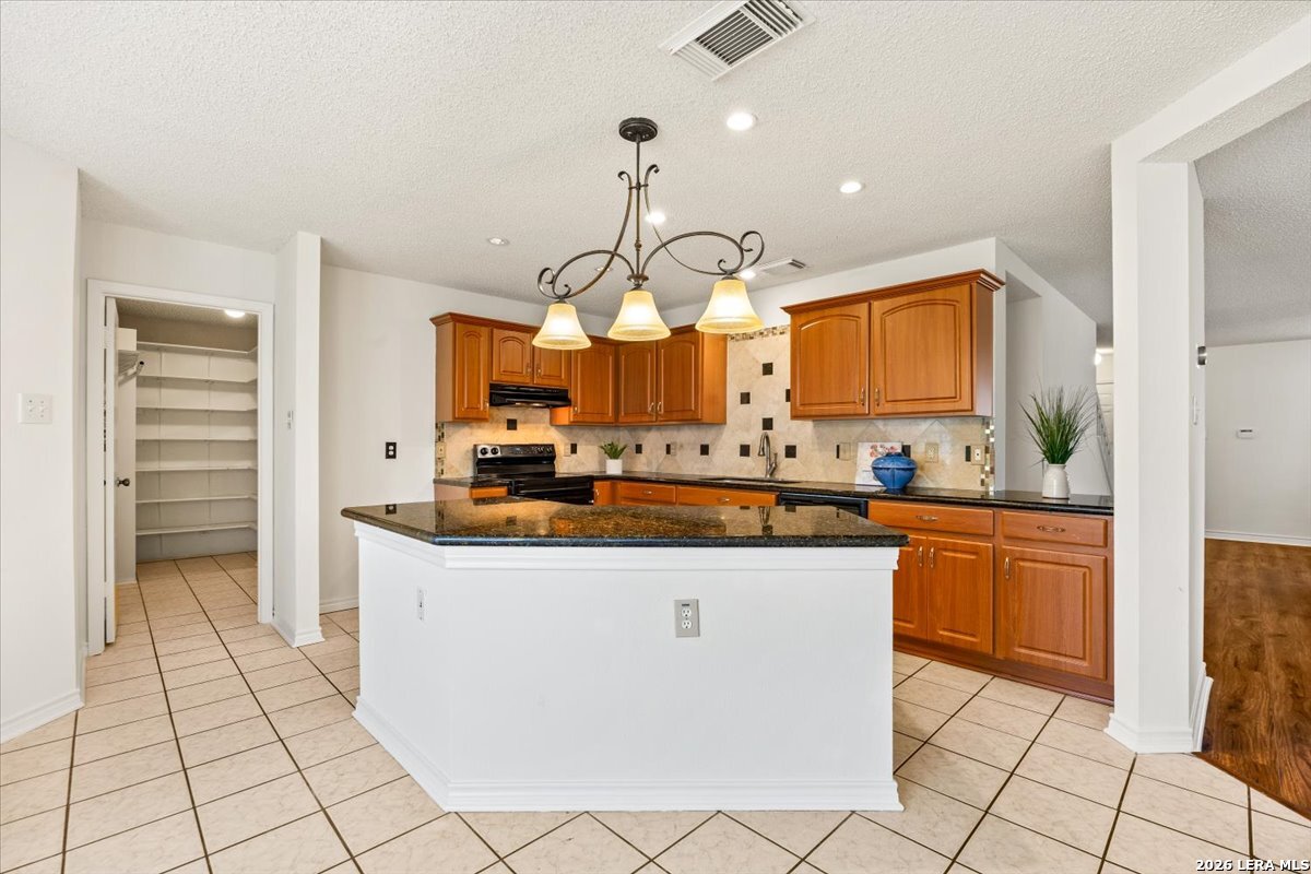 9642 Garden Path San Antonio TX 78254