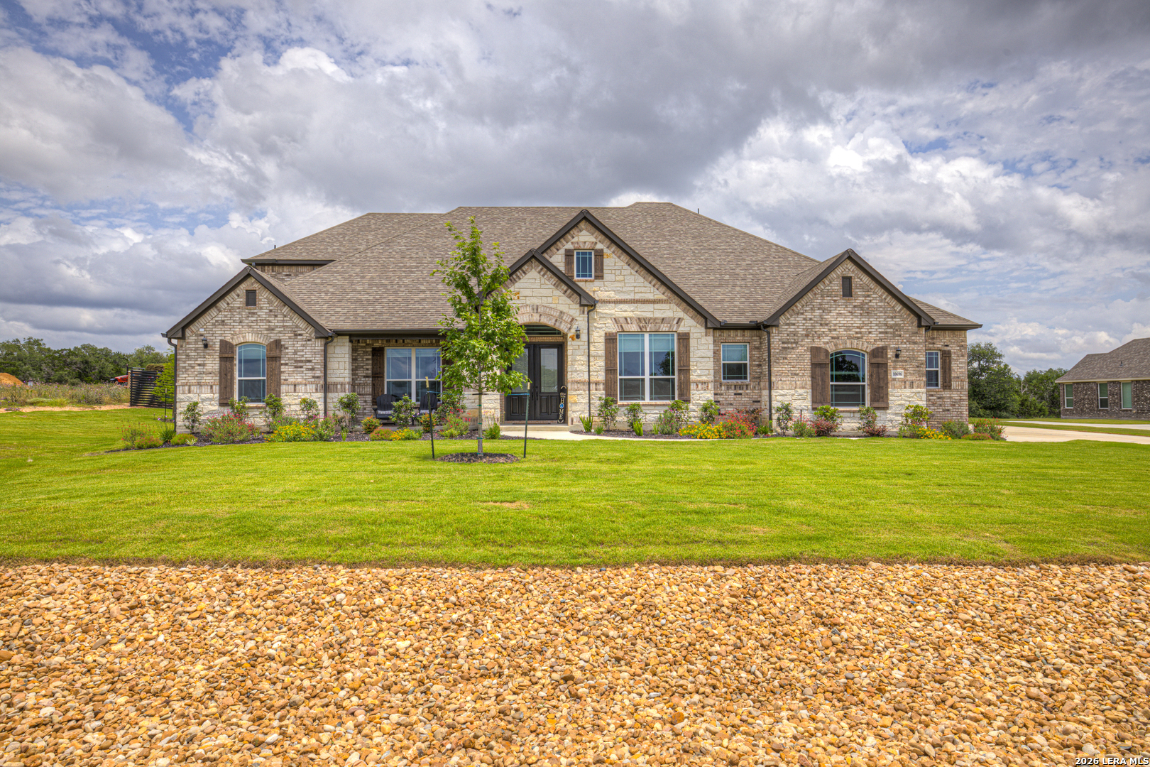 10696 Chestnut Warbler New Braunfels TX 78132