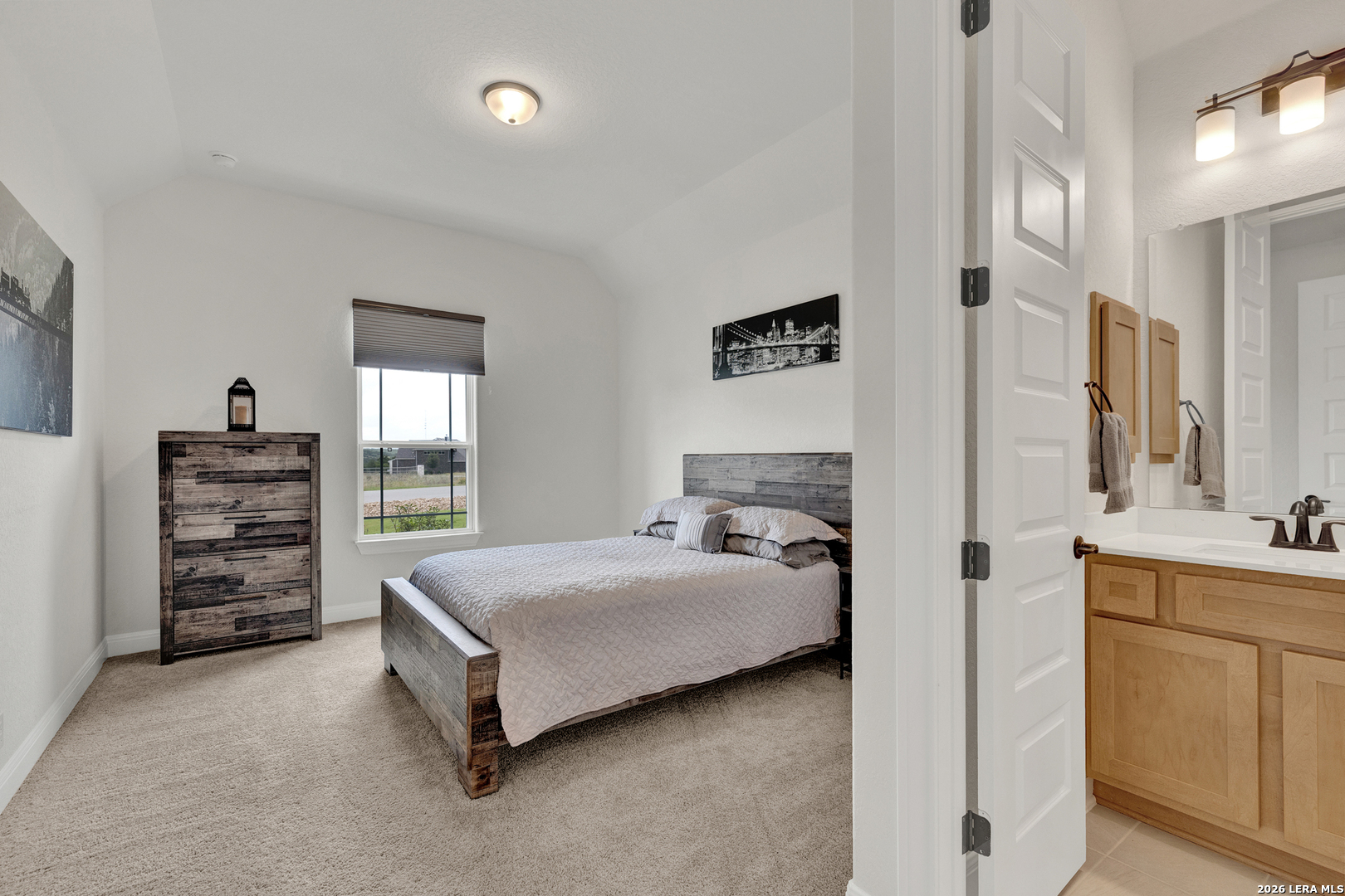 10696 Chestnut Warbler New Braunfels TX 78132