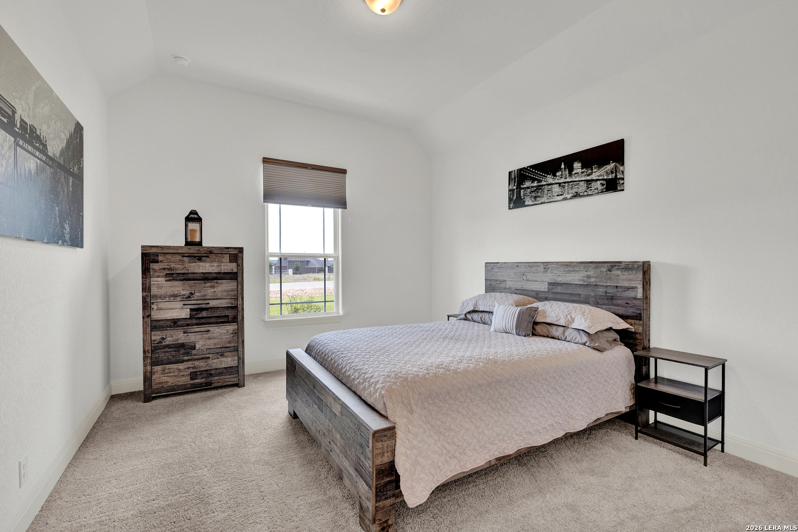 10696 Chestnut Warbler New Braunfels TX 78132