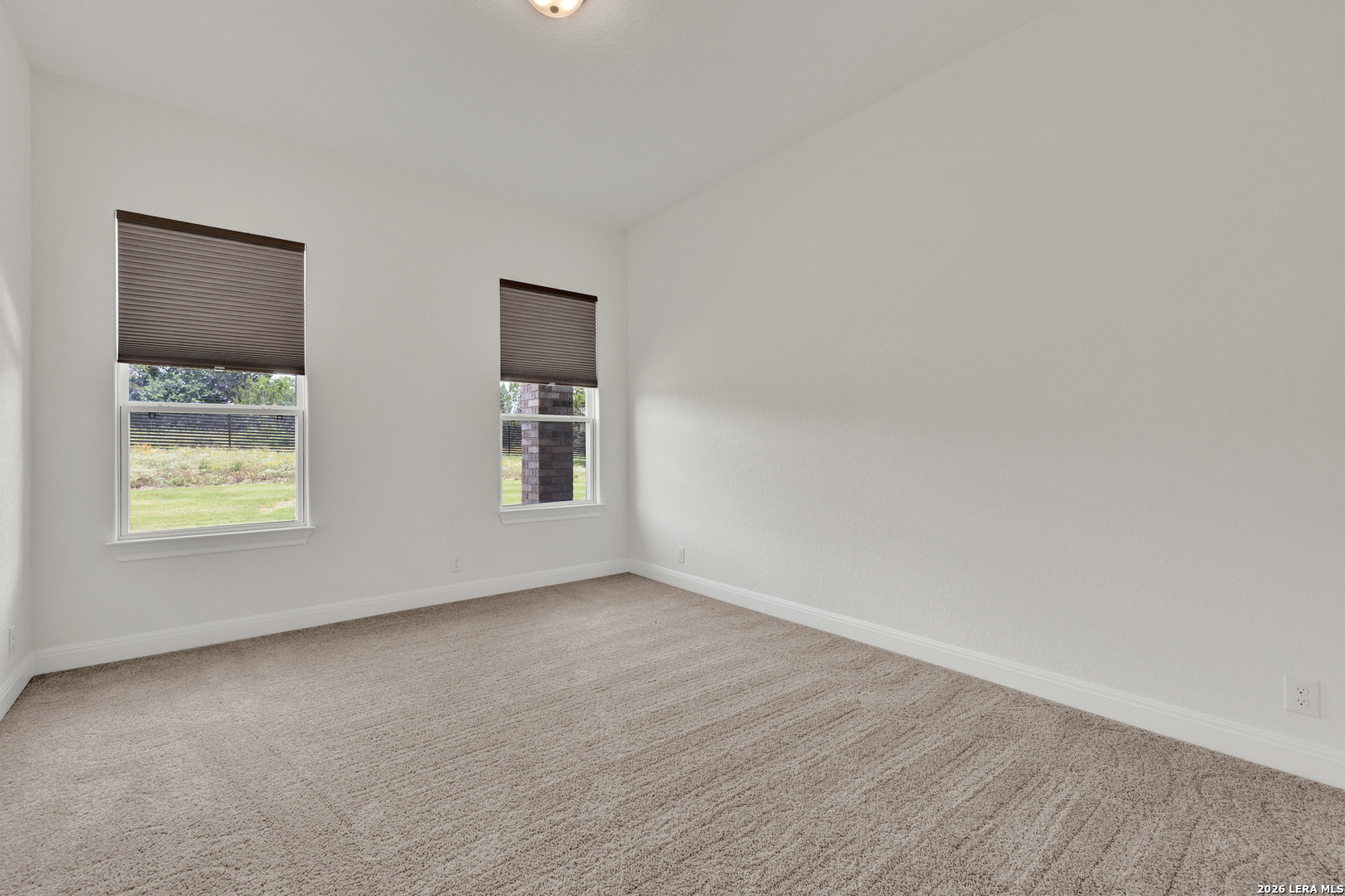 10696 Chestnut Warbler New Braunfels TX 78132