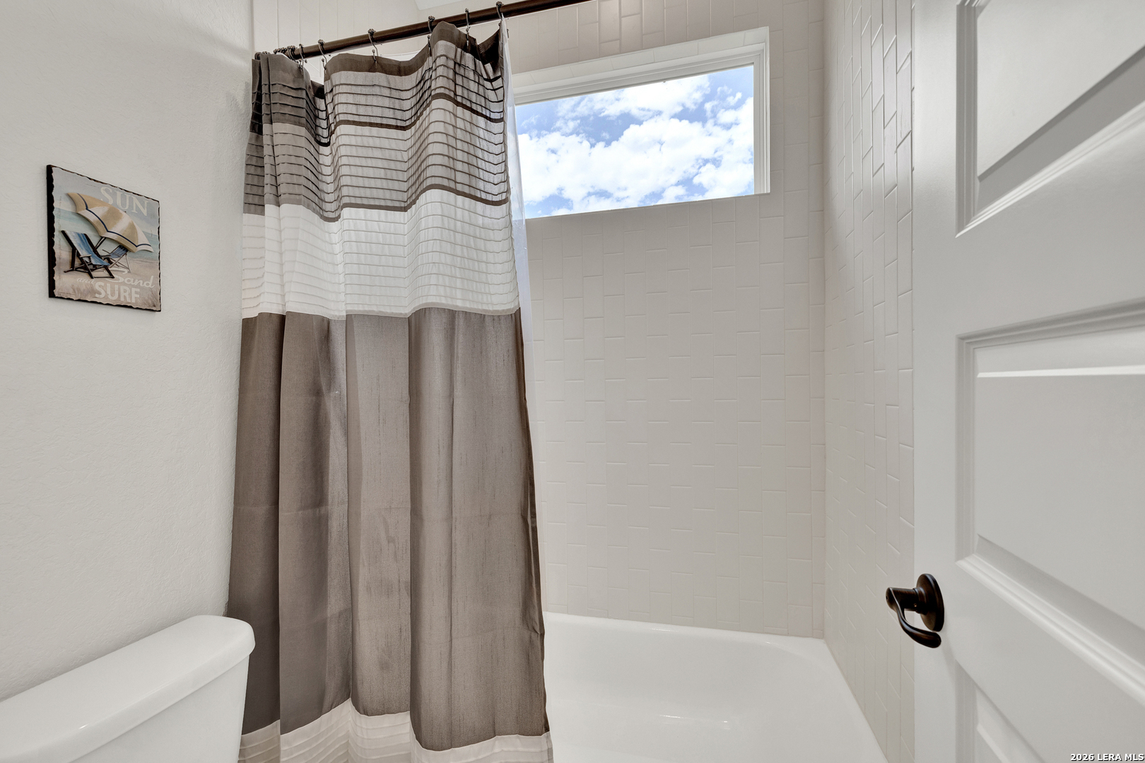 10696 Chestnut Warbler New Braunfels TX 78132