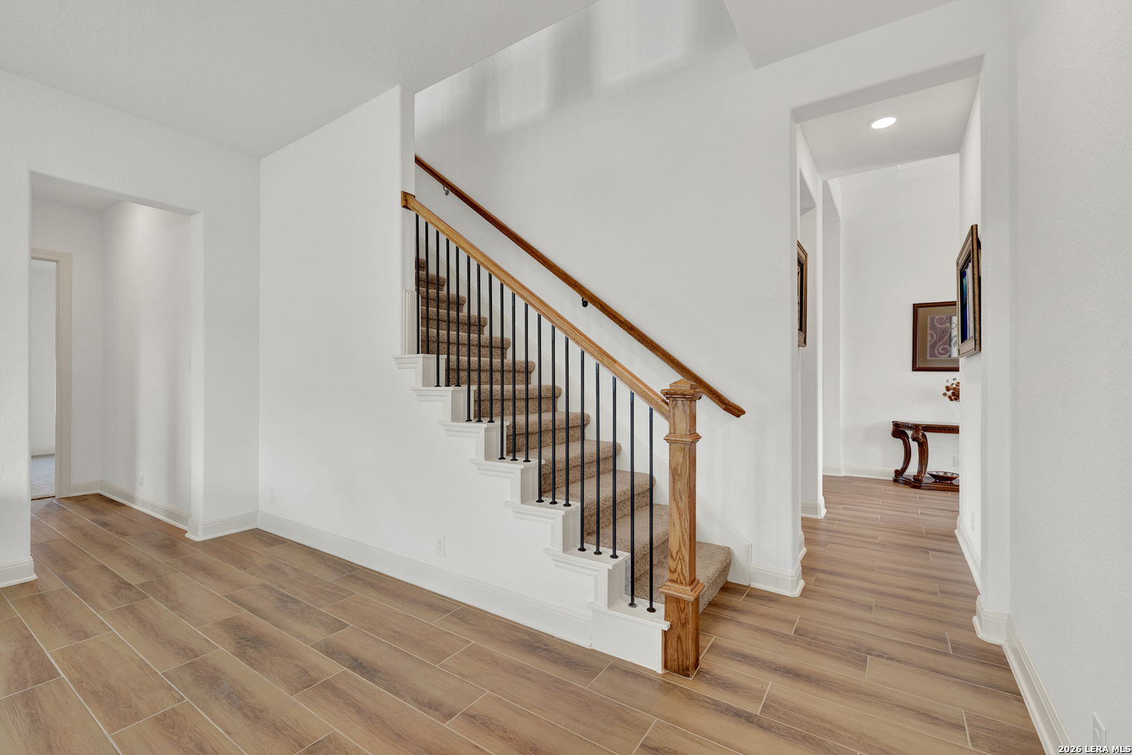 10696 Chestnut Warbler New Braunfels TX 78132
