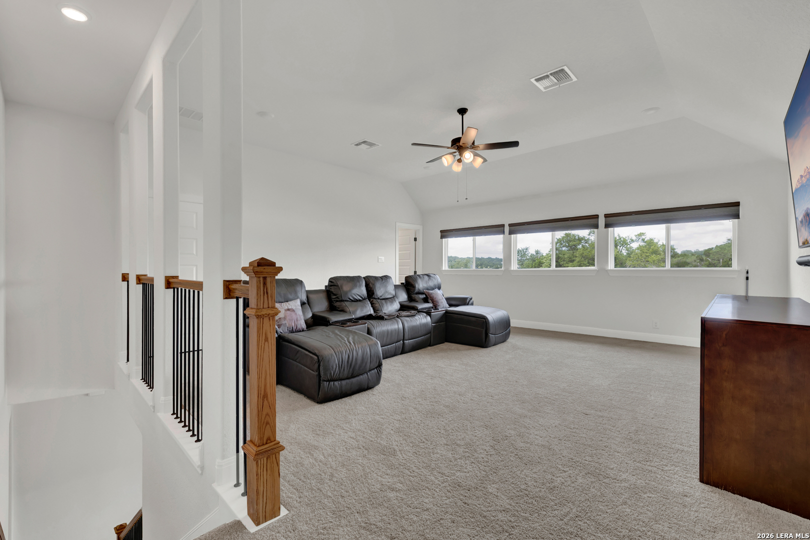 10696 Chestnut Warbler New Braunfels TX 78132