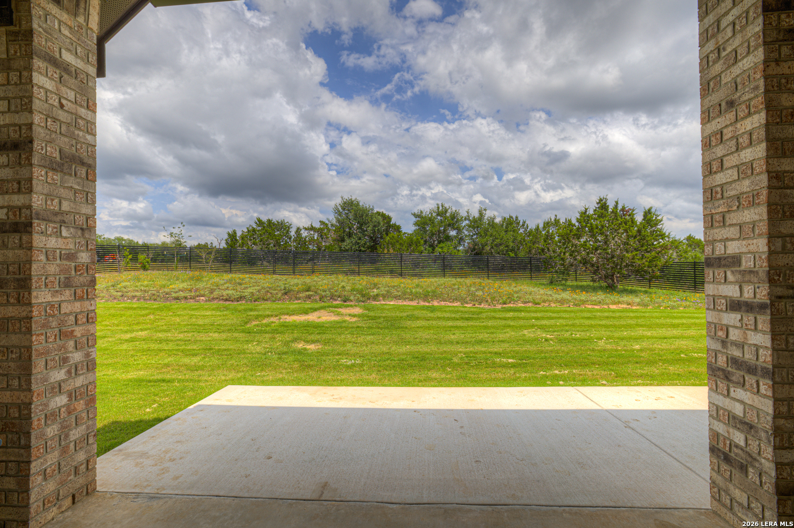 10696 Chestnut Warbler New Braunfels TX 78132
