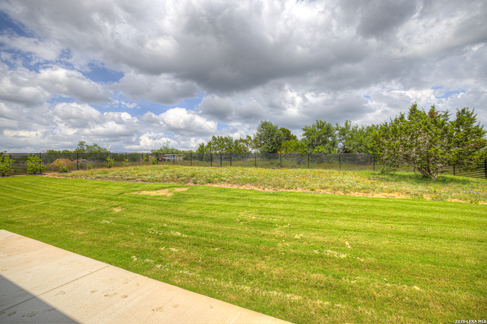 10696 Chestnut Warbler New Braunfels TX 78132