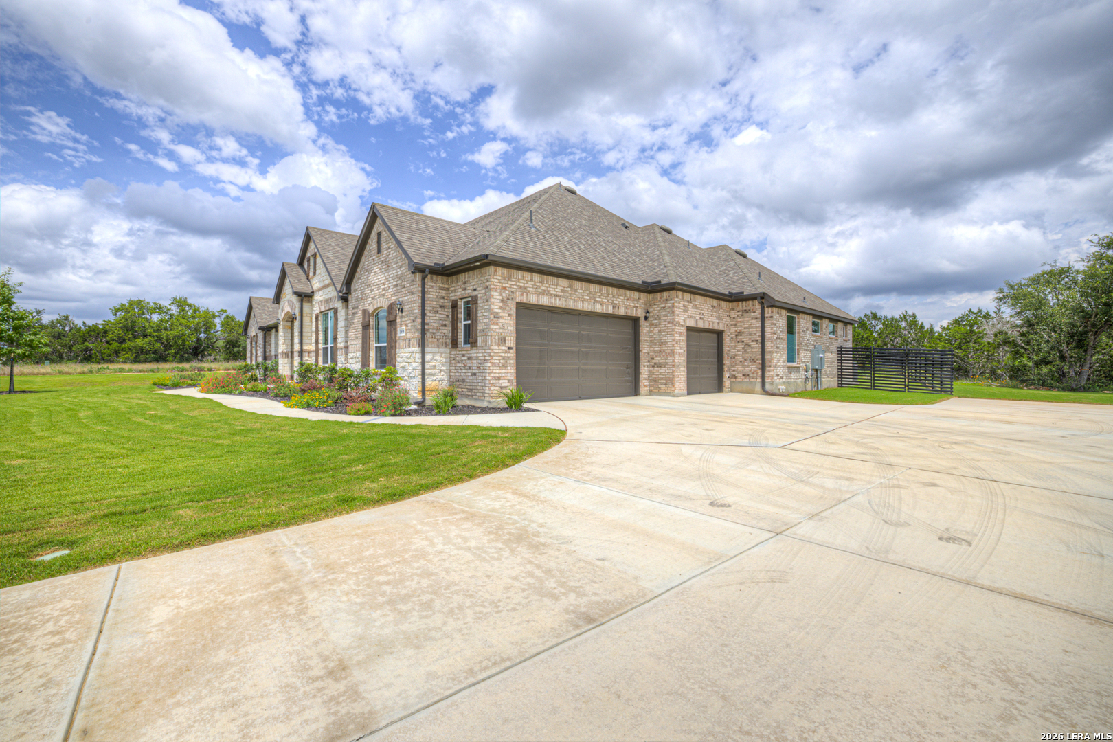 10696 Chestnut Warbler New Braunfels TX 78132