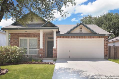 1231 Lion King San Antonio TX 78251