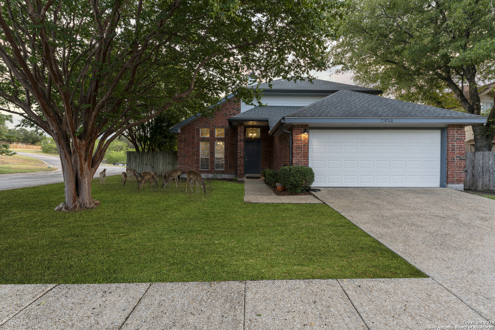 2914 Ridge Song San Antonio TX 78247