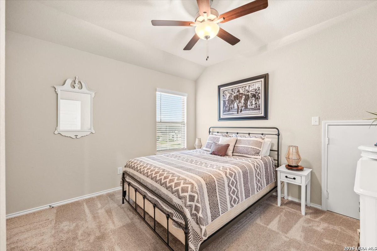 211 Foxtail Woods Cibolo TX 78108