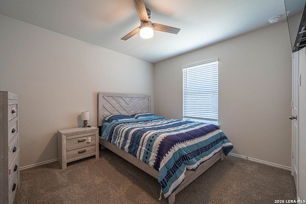 105 Chipping Alley Floresville TX 78114