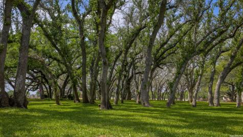 230 Shamrock Floresville TX 78114