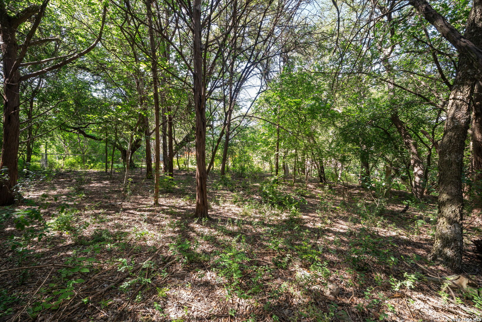 9611 Azalea Circle Garden Ridge TX 78266