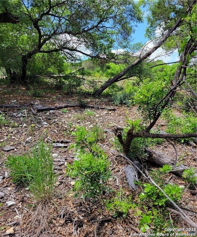 1745 Tbd Private Road Mico TX 78056