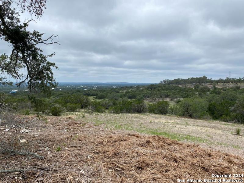 580 Rosemary Ridge Bulverde TX 78163