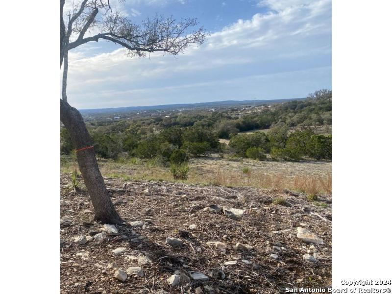 580 Rosemary Ridge Bulverde TX 78163