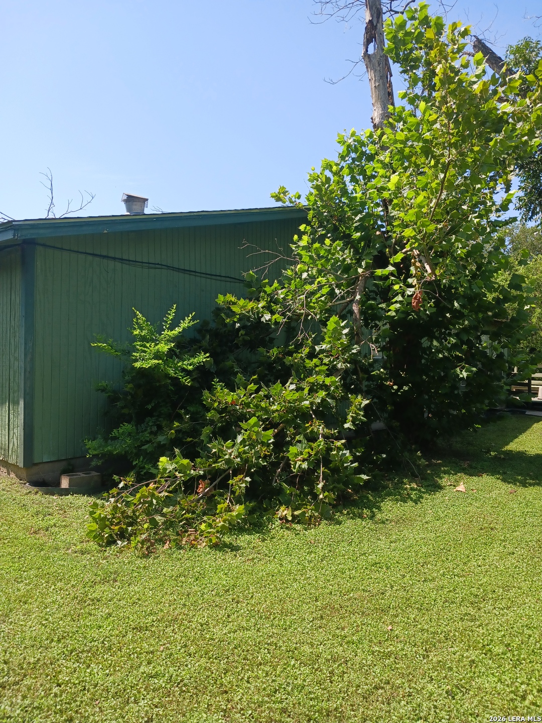 519 Goldleaf San Antonio TX 78219