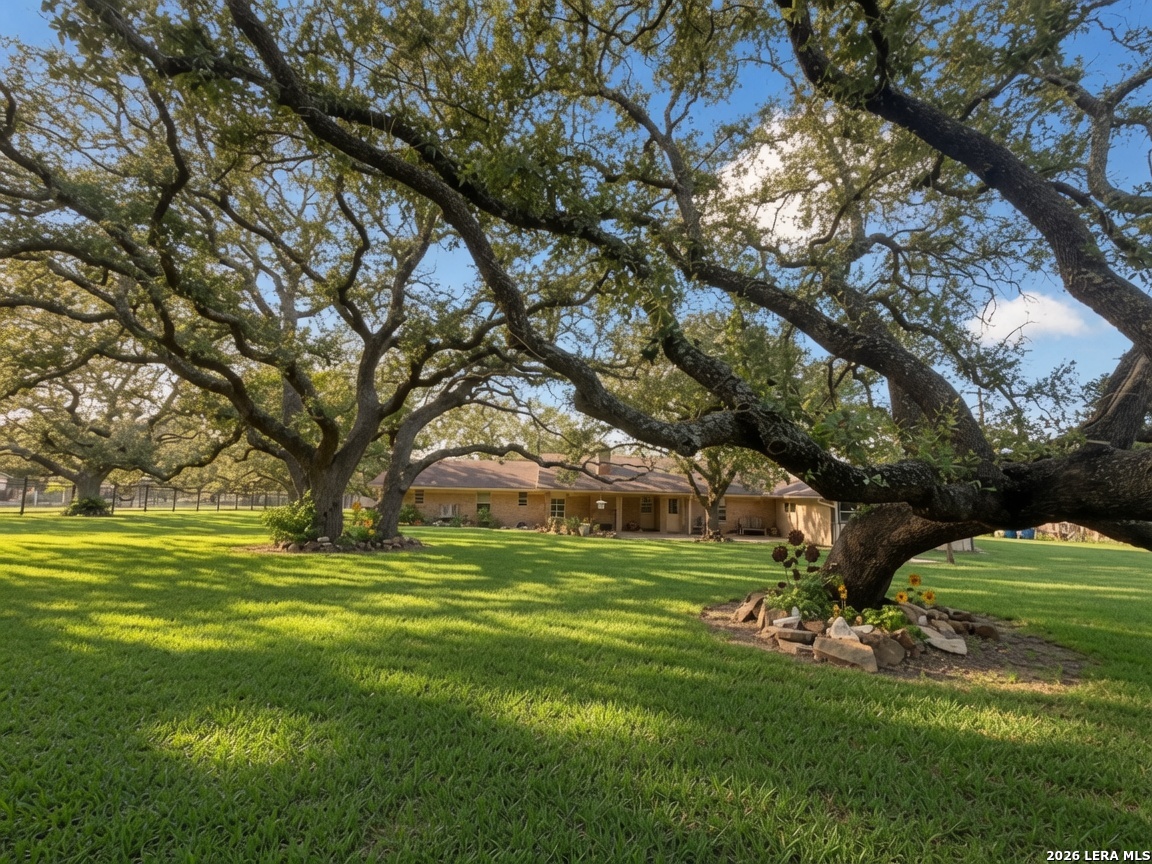 105 Deer Run Pleasanton TX 78064