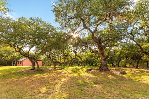 246 Stonebrook Ridge New Braunfels TX 78132