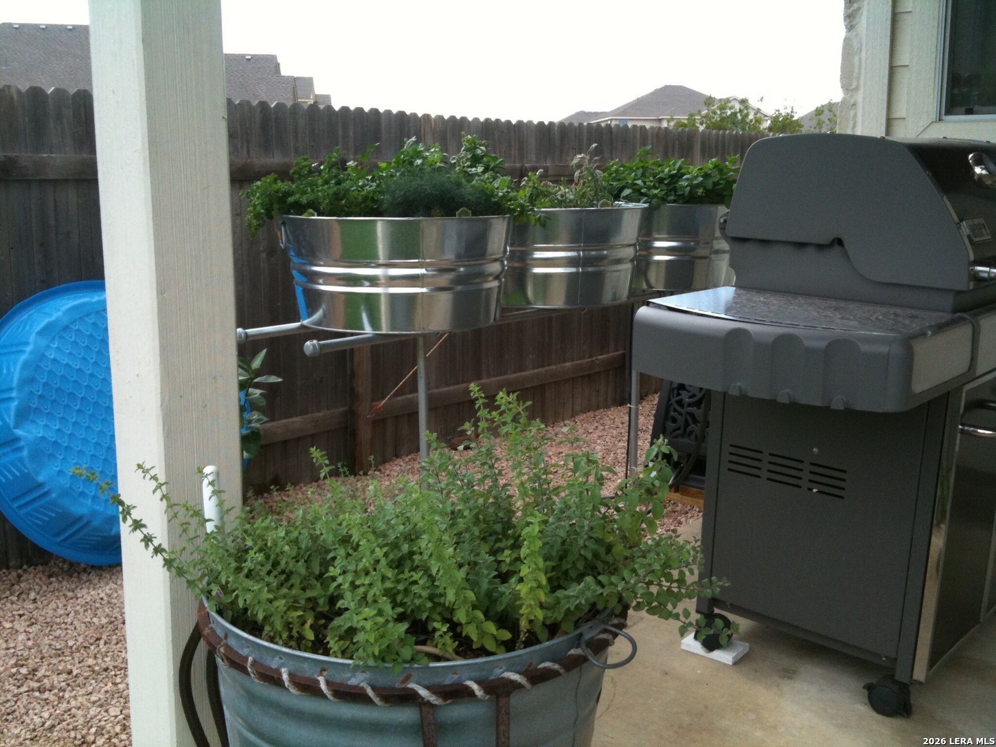 8206 Piney Wood Run San Antonio TX 78255