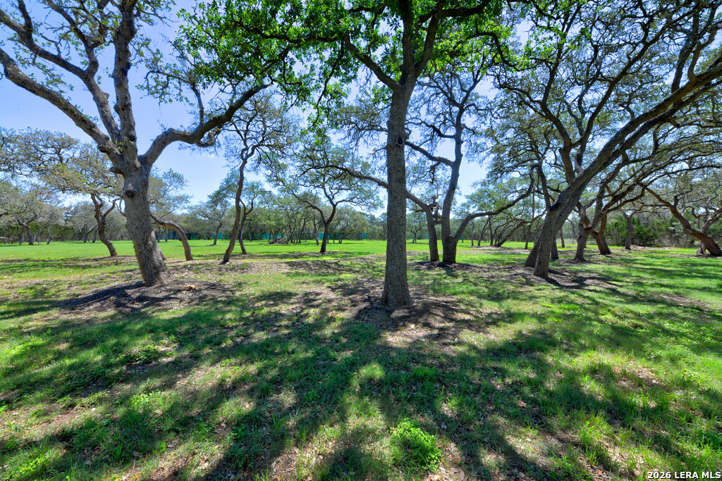 101 Cibolo Hollow N Fair Oaks Ranch TX 78015