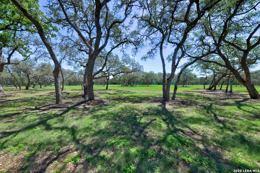 101 Cibolo Hollow N Fair Oaks Ranch TX 78015