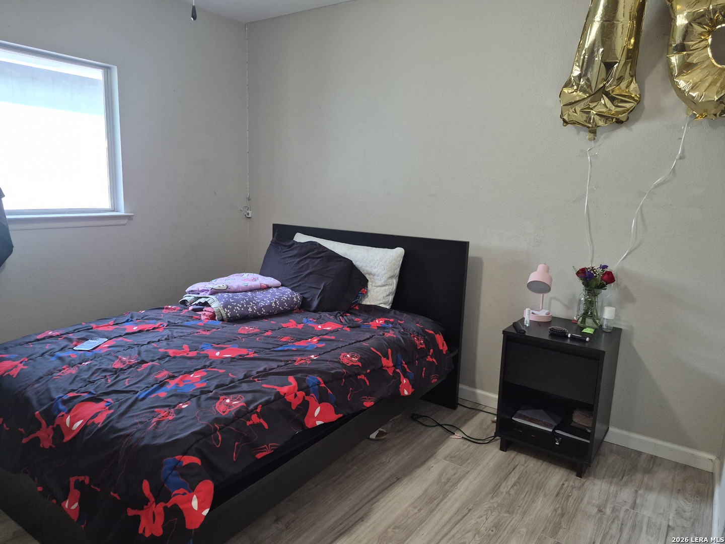 9730 Ivy Plain Drive San Antonio TX 78245