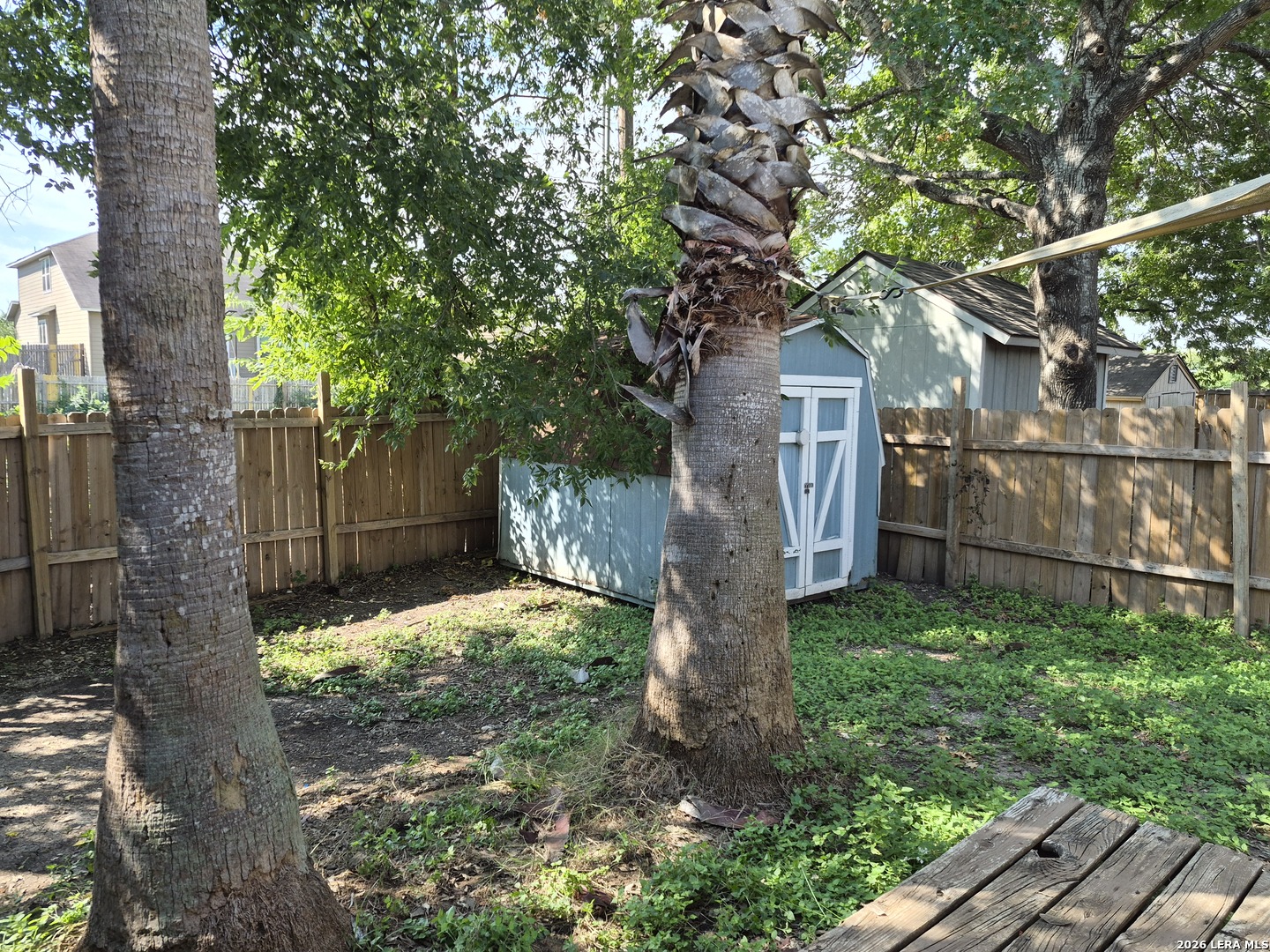 9730 Ivy Plain Drive San Antonio TX 78245