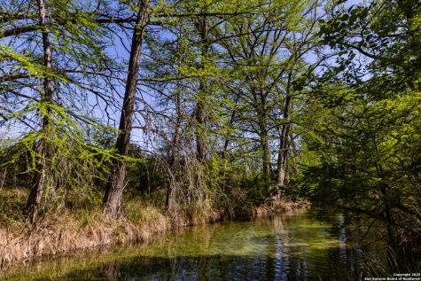 816 Cornelius Road Utopia TX 78884