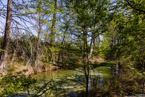 816 Cornelius Road Utopia TX 78884
