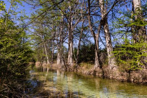816 Cornelius Road Utopia TX 78884