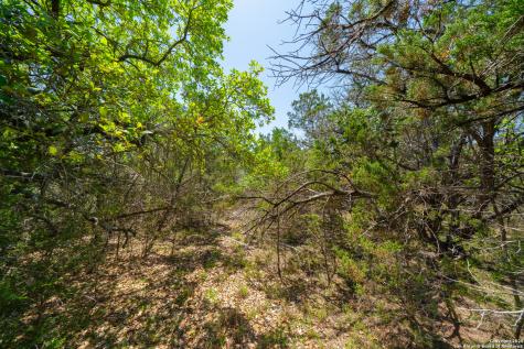 22ND Street Bandera TX 78003