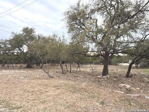 104 C Chisholm Blanco TX 78606