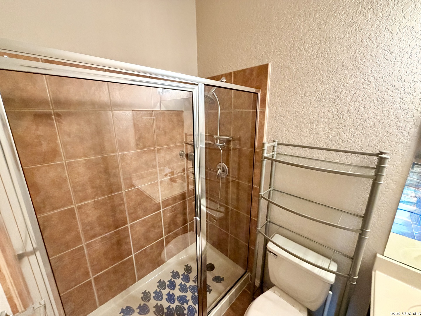234 Gazelle Leap San Antonio TX 78258