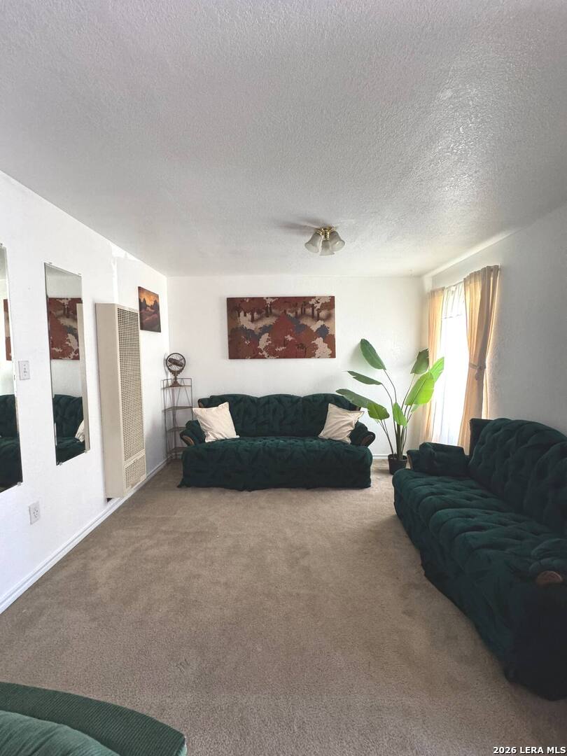 1015 W Amber San Antonio TX 78221