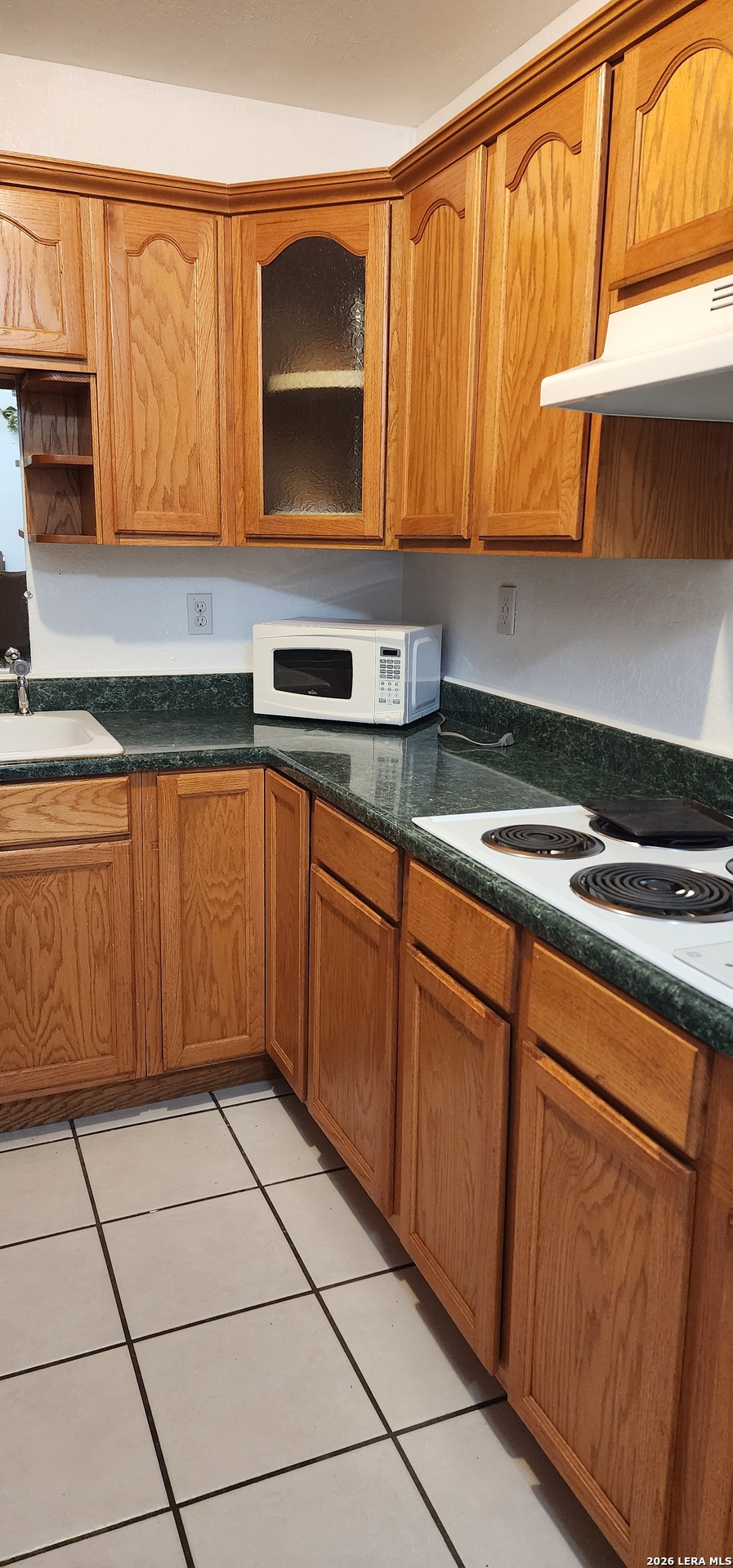 1015 W Amber San Antonio TX 78221