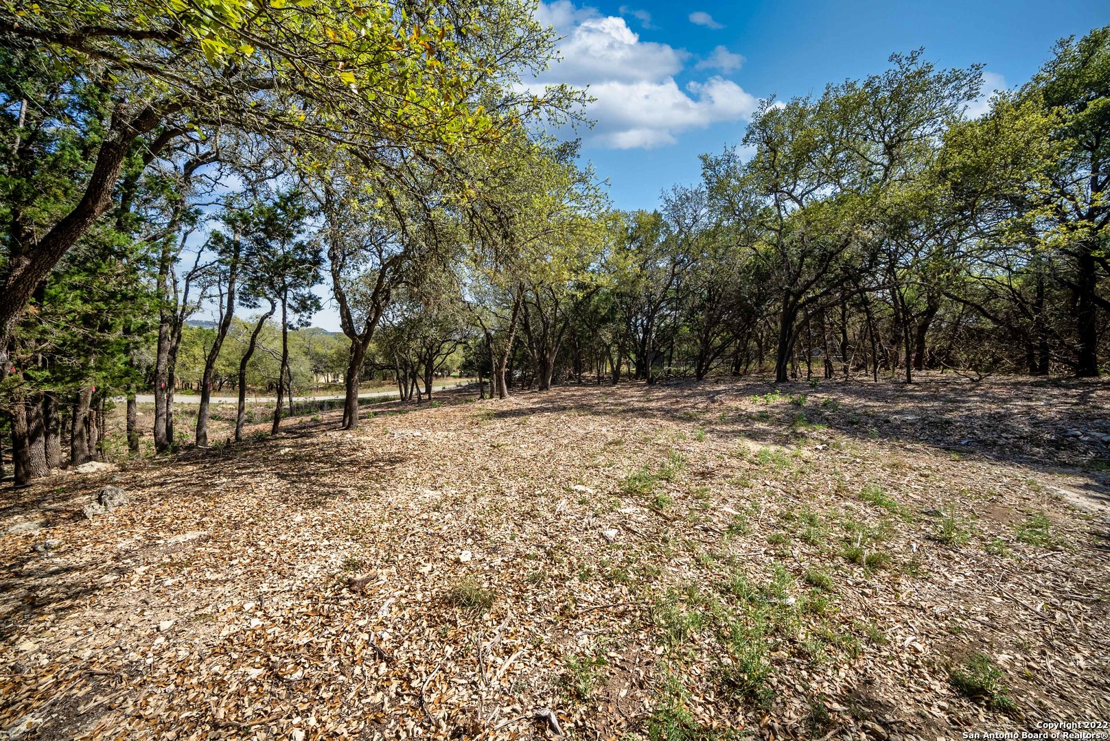 1752 Trailridge Drive Canyon Lake TX 78133