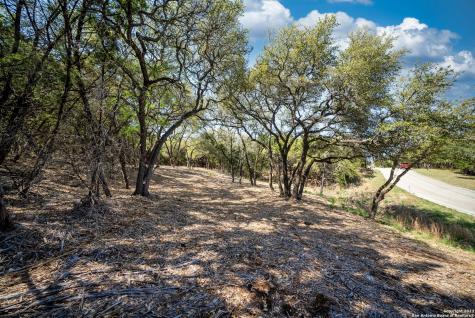 1752 Trailridge Drive Canyon Lake TX 78133